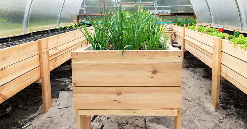 raised garden bed from pallets
