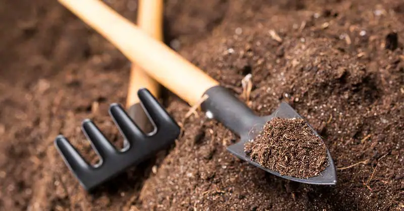 How to Prepare Garden Soil for Planting