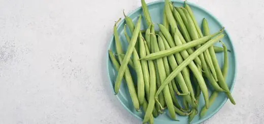 Problems with Blue Lake Pole Beans