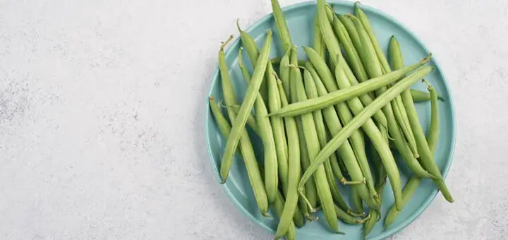 Problems with Blue Lake Pole Beans