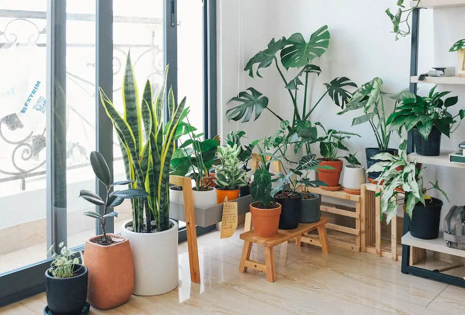 Image of vibrant and healthy houseplants showcasing their air purifying abilities