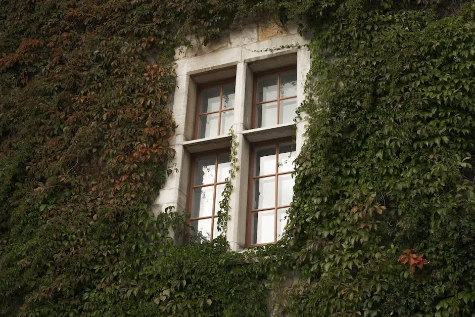 A person observing a vertical garden and identifying signs of plant stress.