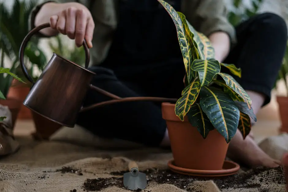 Image of a person holding a potted plant, demonstrating the importance of understanding your plant's soil needs.